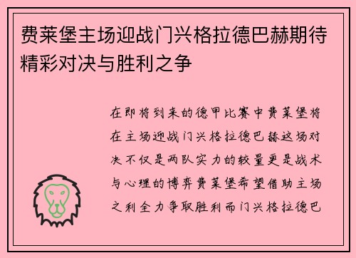 费莱堡主场迎战门兴格拉德巴赫期待精彩对决与胜利之争
