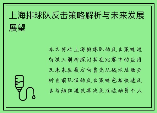 上海排球队反击策略解析与未来发展展望