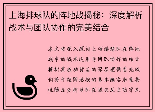 上海排球队的阵地战揭秘：深度解析战术与团队协作的完美结合