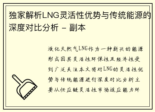独家解析LNG灵活性优势与传统能源的深度对比分析 - 副本